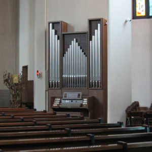 Organi combinati (ibridi)