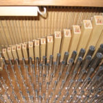 Organo Meccanico Truhenorgel